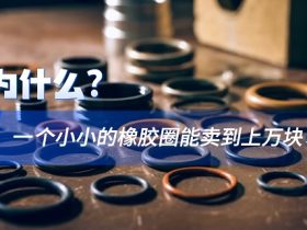 为什么一个小小的橡胶圈能卖到上万块?